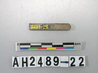 藏品(磨製石針)的圖片